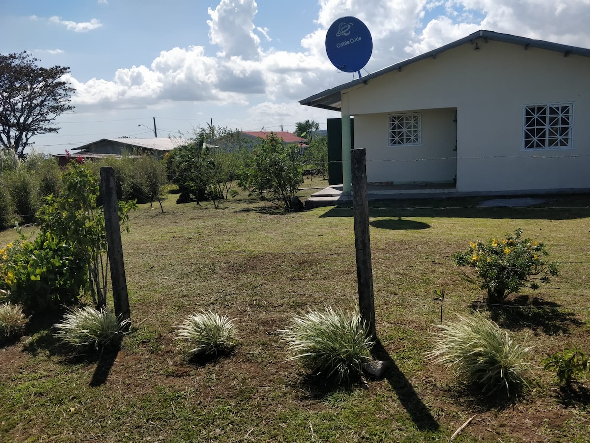 A grassy outdoor area is featured with neatly arranged shrubs and small plants. A white building with large windows and a blue sign is visible in the background under a partly cloudy sky. Fences made of wooden posts frame the scene.