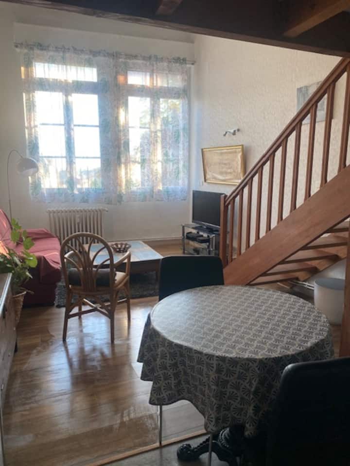 Appartement Hyper Centre - 리모주