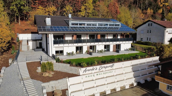 Großes Terrassenappartement (Annie´s Bergwelt) - Bodenmais