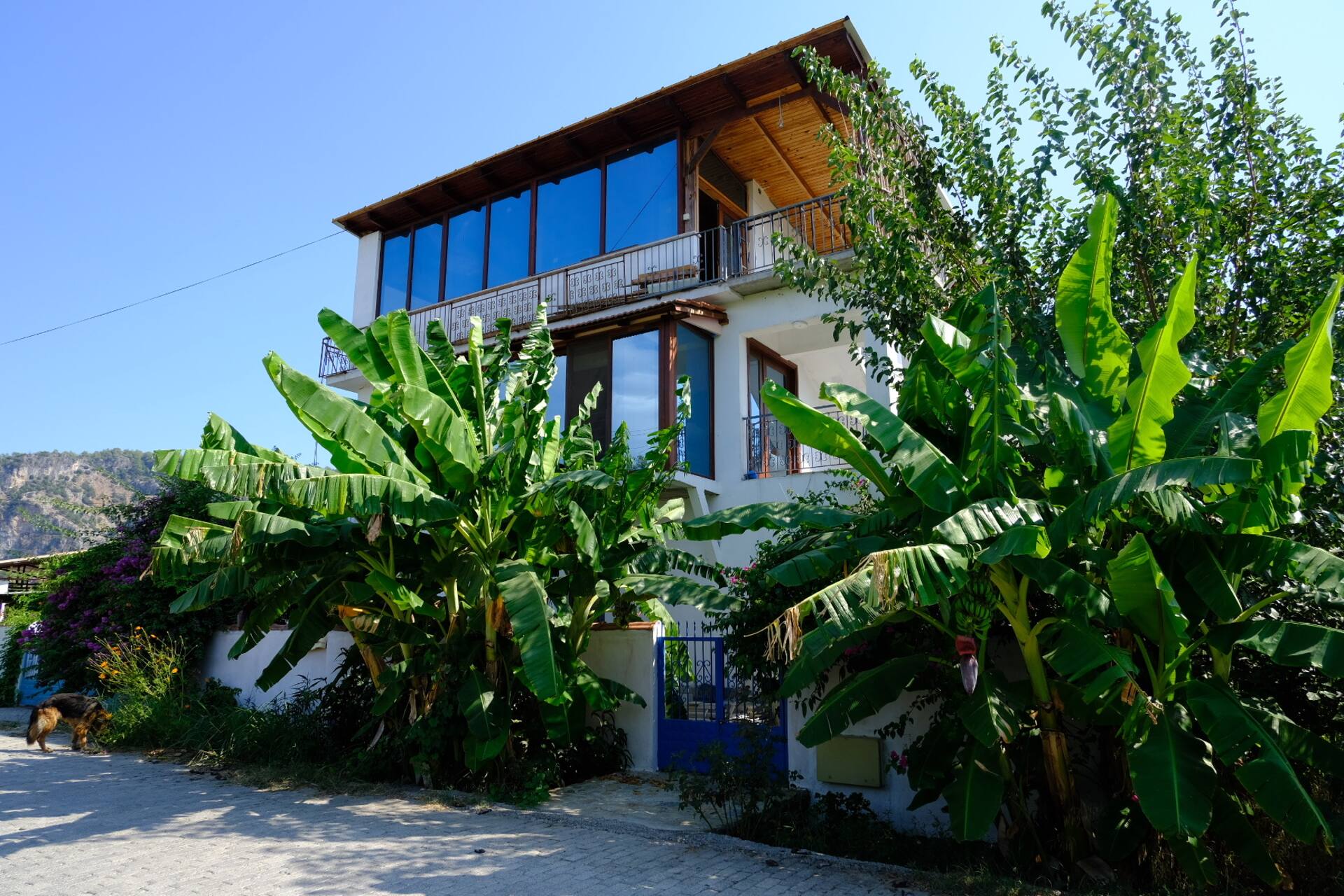 Dalyan Blue Apartment