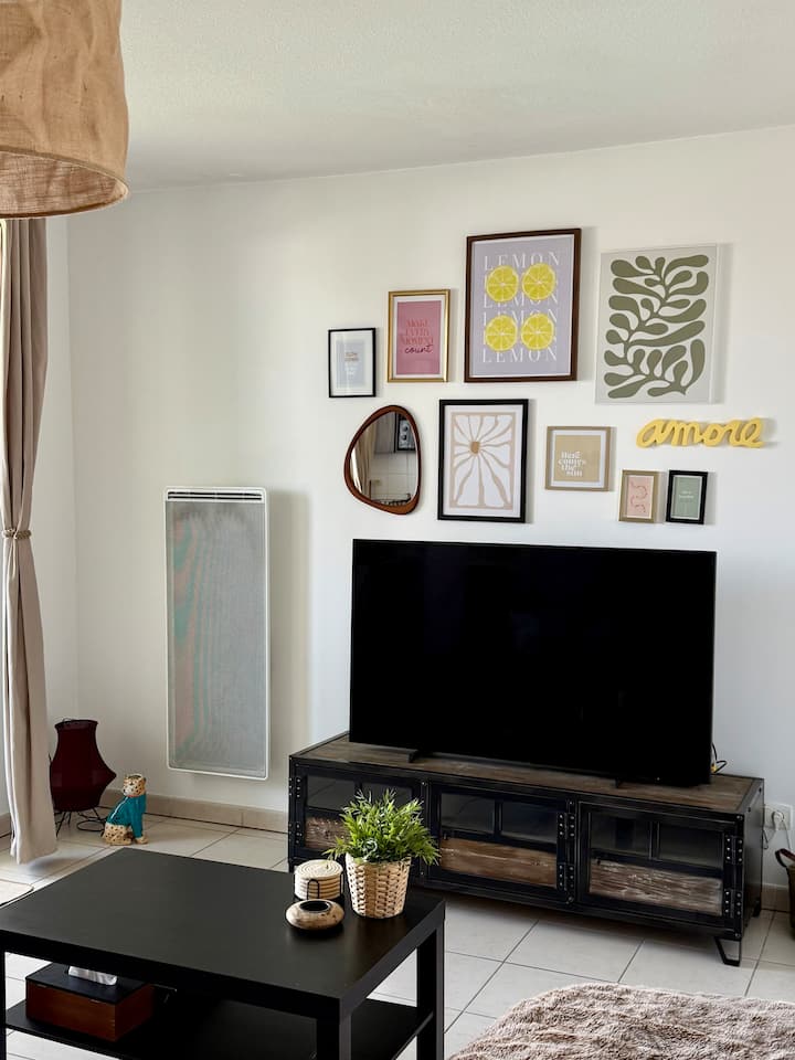 Appartement Cosy - Rénové Et Lumineux - - Cornebarrieu