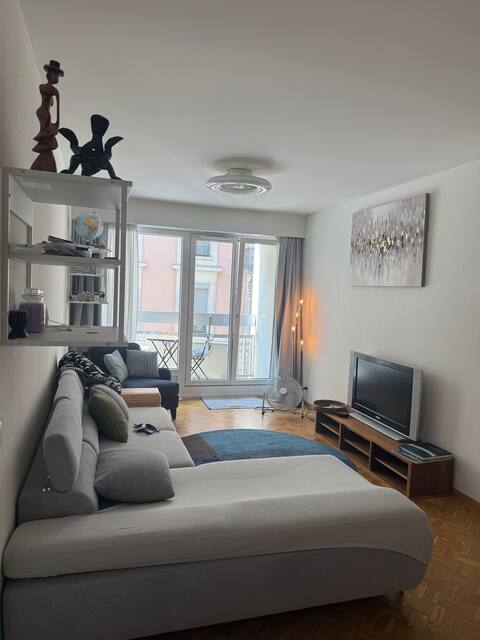 Popular Airbnb listing: Fantastic apartment, by the lake in Genève