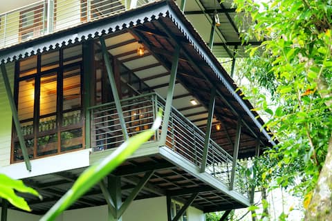 Solitude Munnar, Bliss in the woods - Tree House