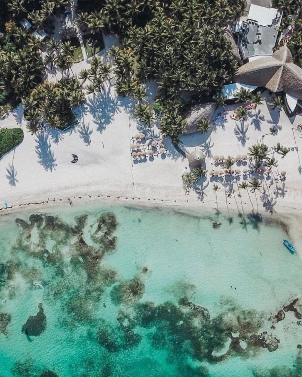 An aerial view captures the tranquil beach with soft white sand and clear turquoise waters. Palm trees cast shadows on the shore, while lounge chairs are arranged for sunbathing. The gentle waves lap against the shore, creating a serene beachfront atmosphere.