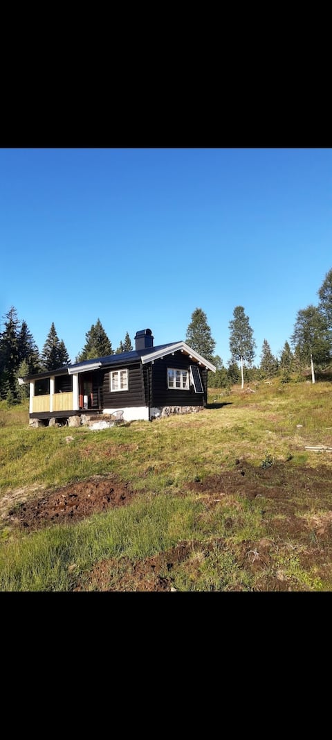 Popular Airbnb listing: Løvlia in Ringerike