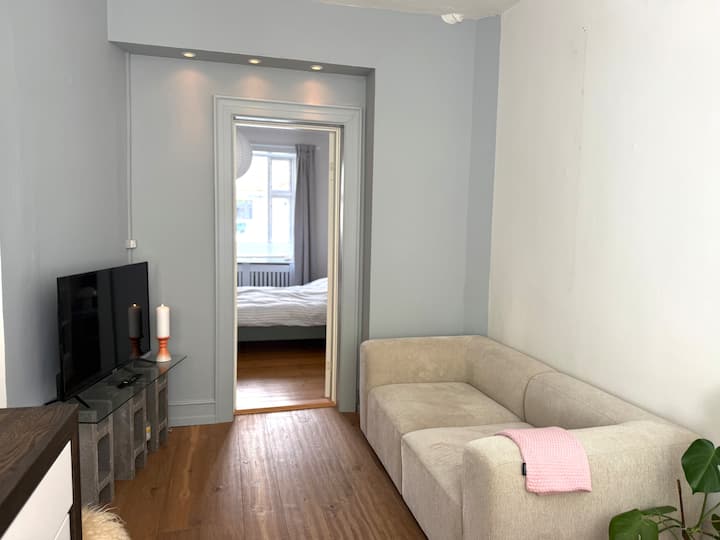 Cozy Copenhagen Flat For Two! - Kööpenhamina