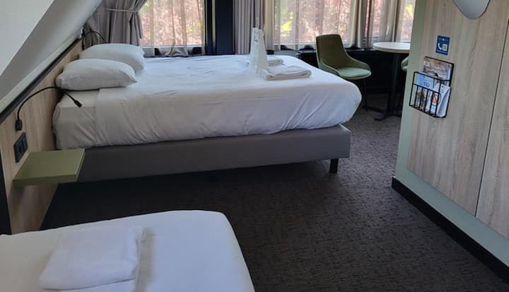 Explore Arnhem From Our Cozy Room Near Historic - Brummen