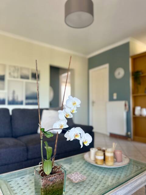 Top performing Airbnb: Angeliki's Apartment in Δήμος Μαραθώνος