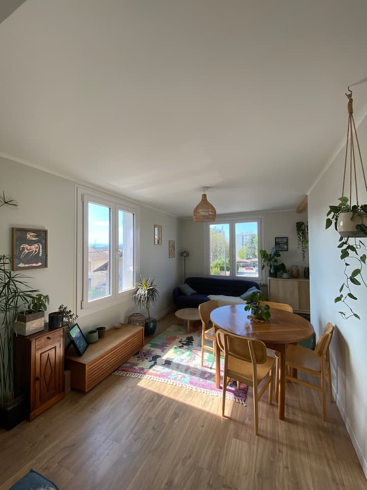 Bel Appartement Calme & Lumineux - Argonay