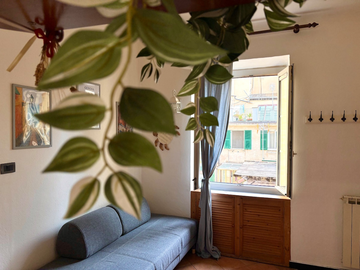 Annuncio Airbnb popolare: Cozy apartment in Genoa’s Historic Centre a Genova