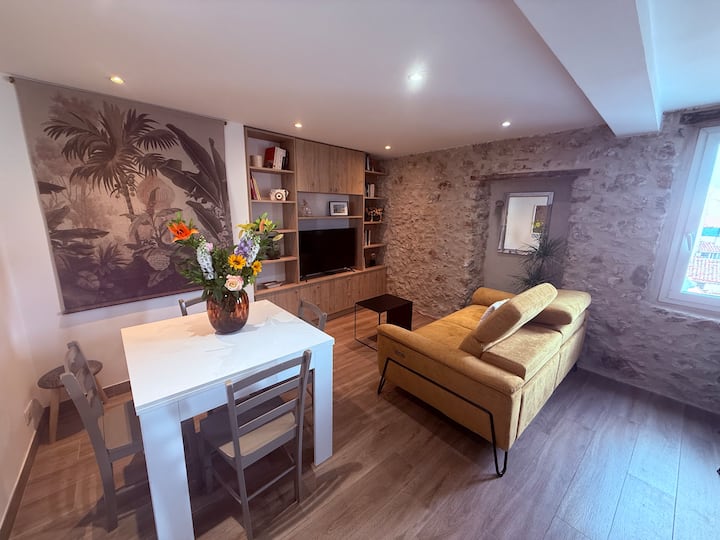 Charme, Pierres, Appartement Dans Le Vieil Antibes - Antibes