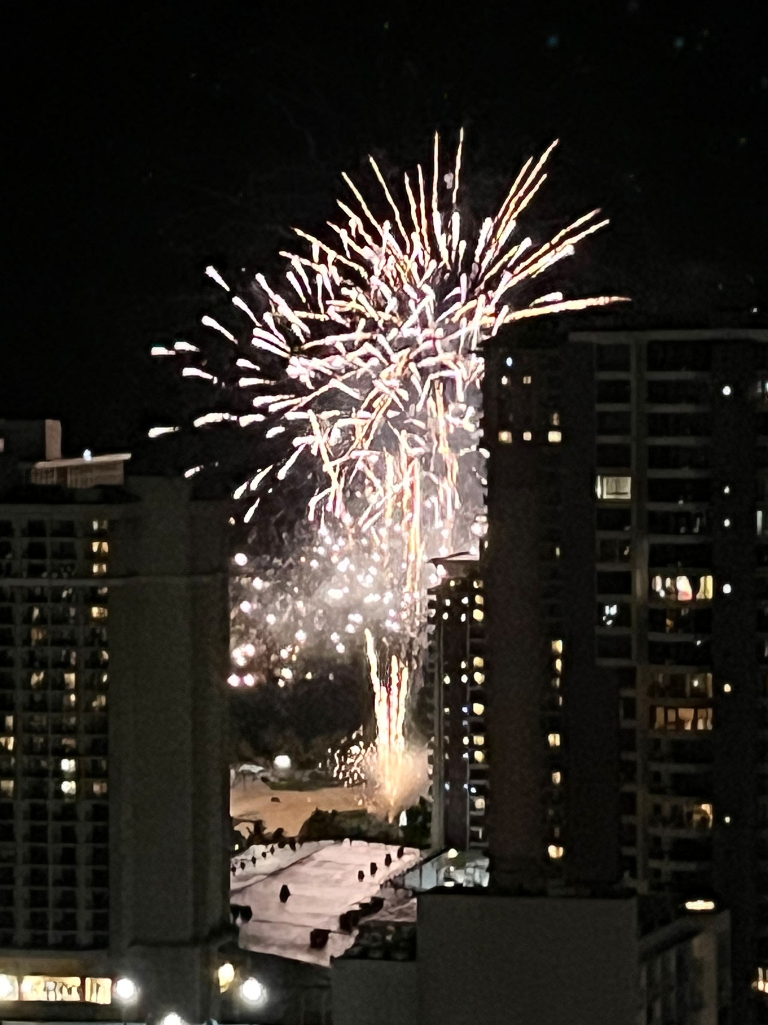 Only One In Waikiki Dual Private Penthouse 43 FL - Image 98