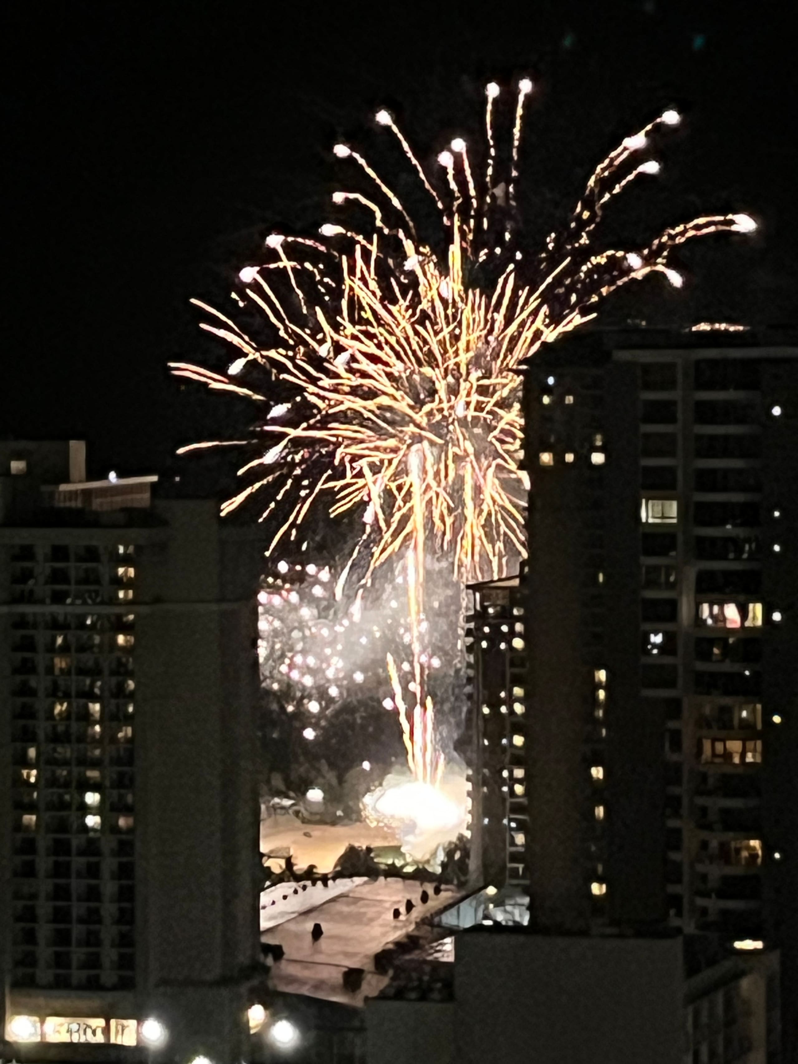 Only One In Waikiki Dual Private Penthouse 43 FL - Image 97