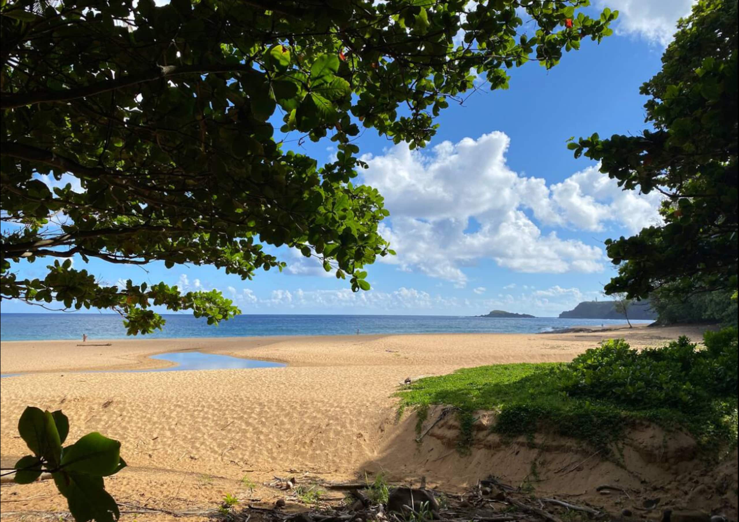 Puamana Gardens near Anini beach Winter Escape - Image 43
