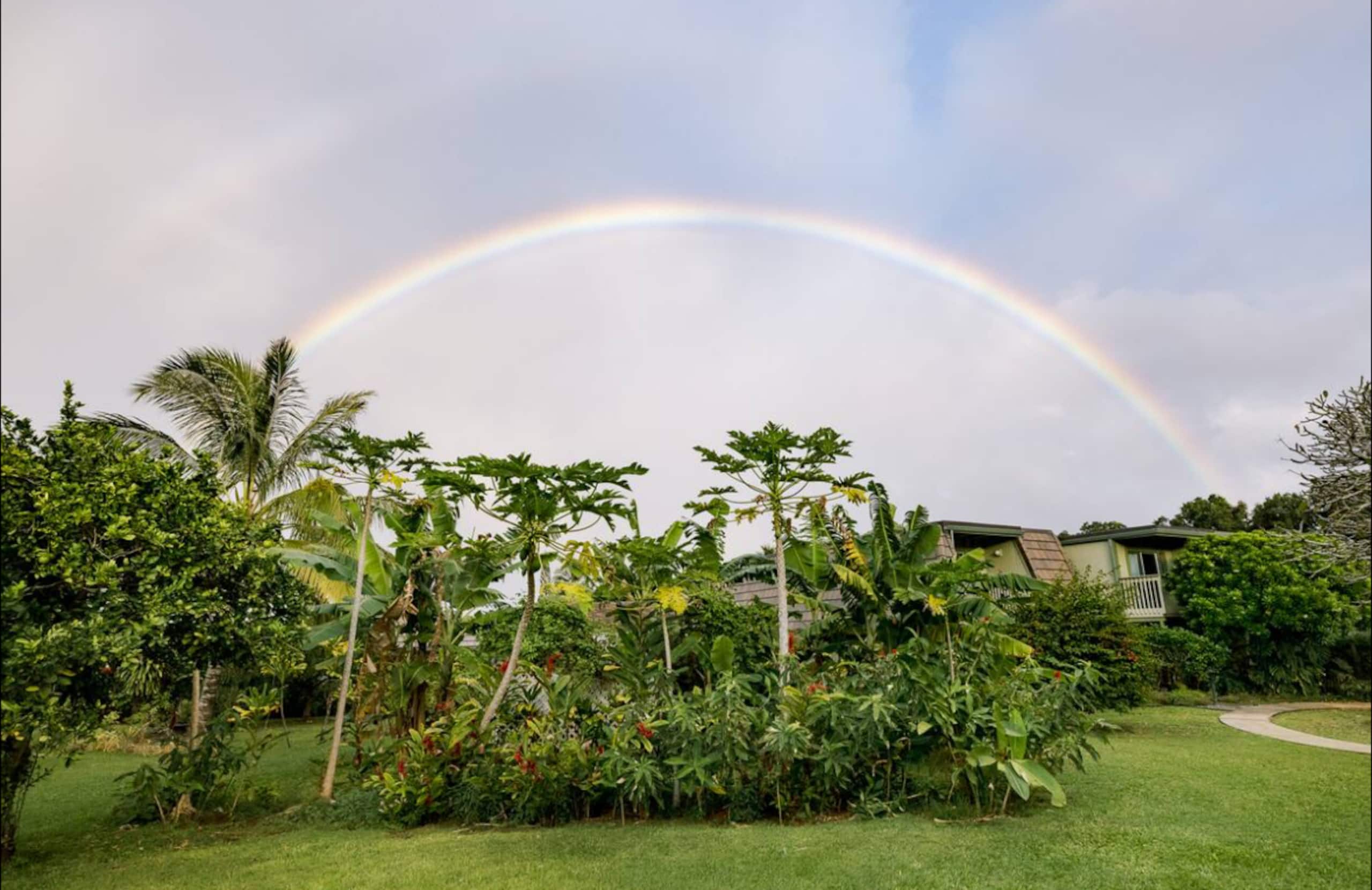 Puamana Gardens near Anini beach Winter Escape - Image 27