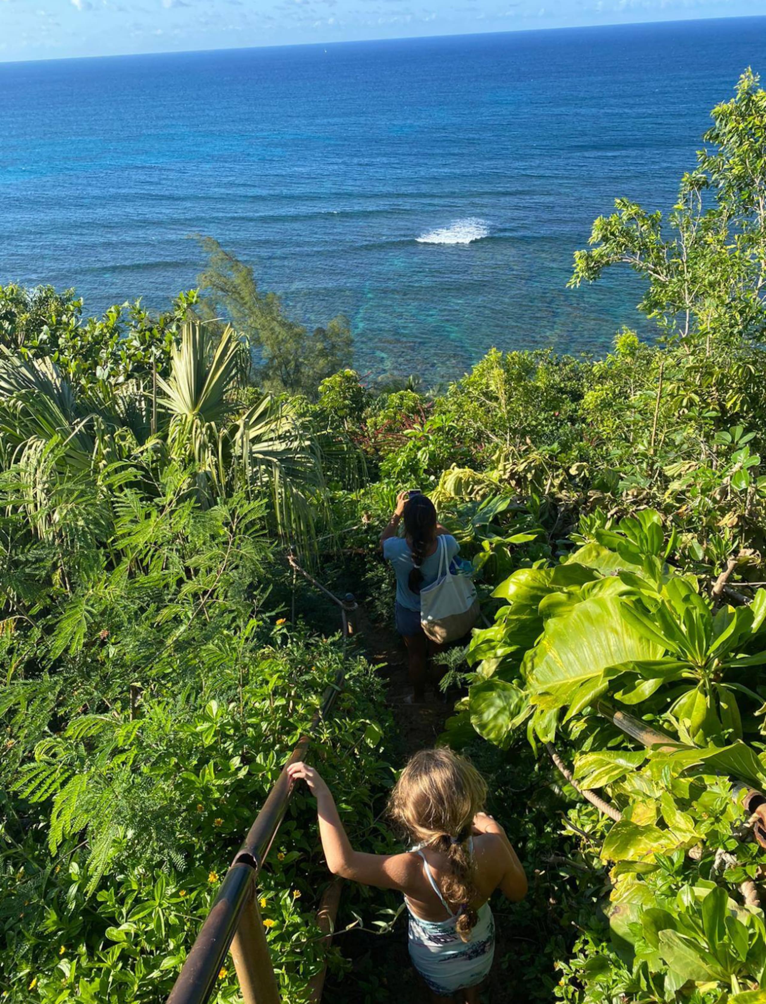 Puamana Gardens near Anini beach Winter Escape - Image 37