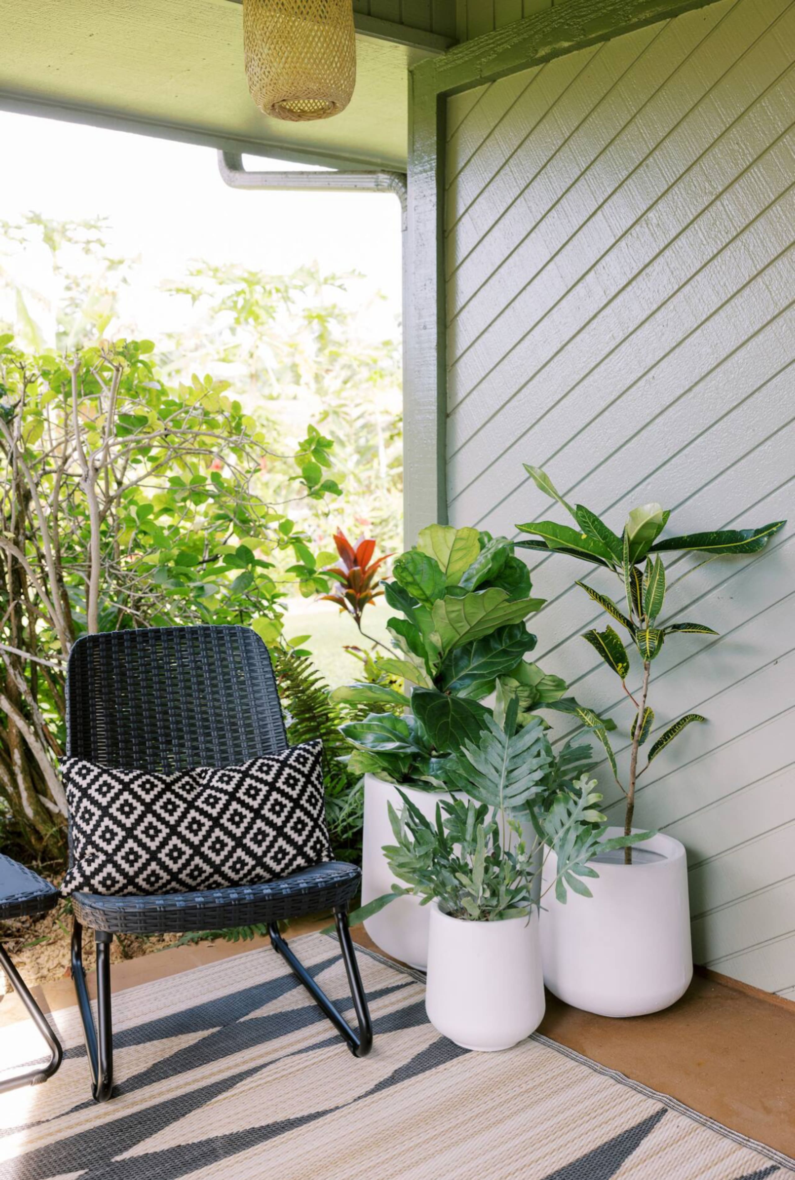 Puamana Gardens near Anini beach Winter Escape - Image 33