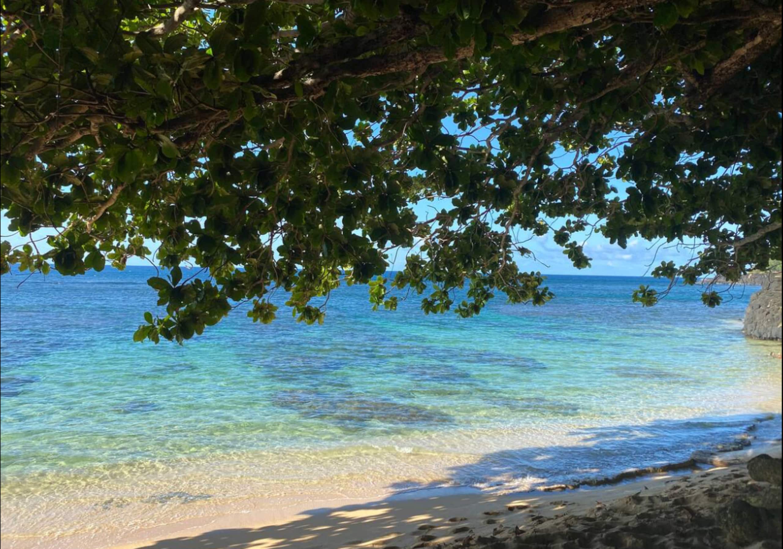 Puamana Gardens near Anini beach Winter Escape - Image 44