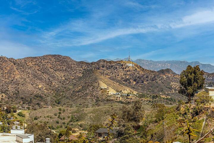 Hollywood Hills Gem gallery image 5