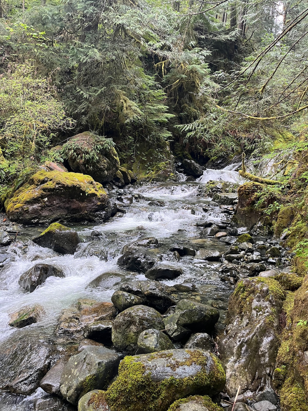 A serene river flows through a lush, green landscape, surrounded by moss-covered rocks and dense forest. The water glistens as it cascades over smooth stones, creating a calming sound. Sunlight filters through the trees, illuminating the vibrant greenery and inviting tranquility.