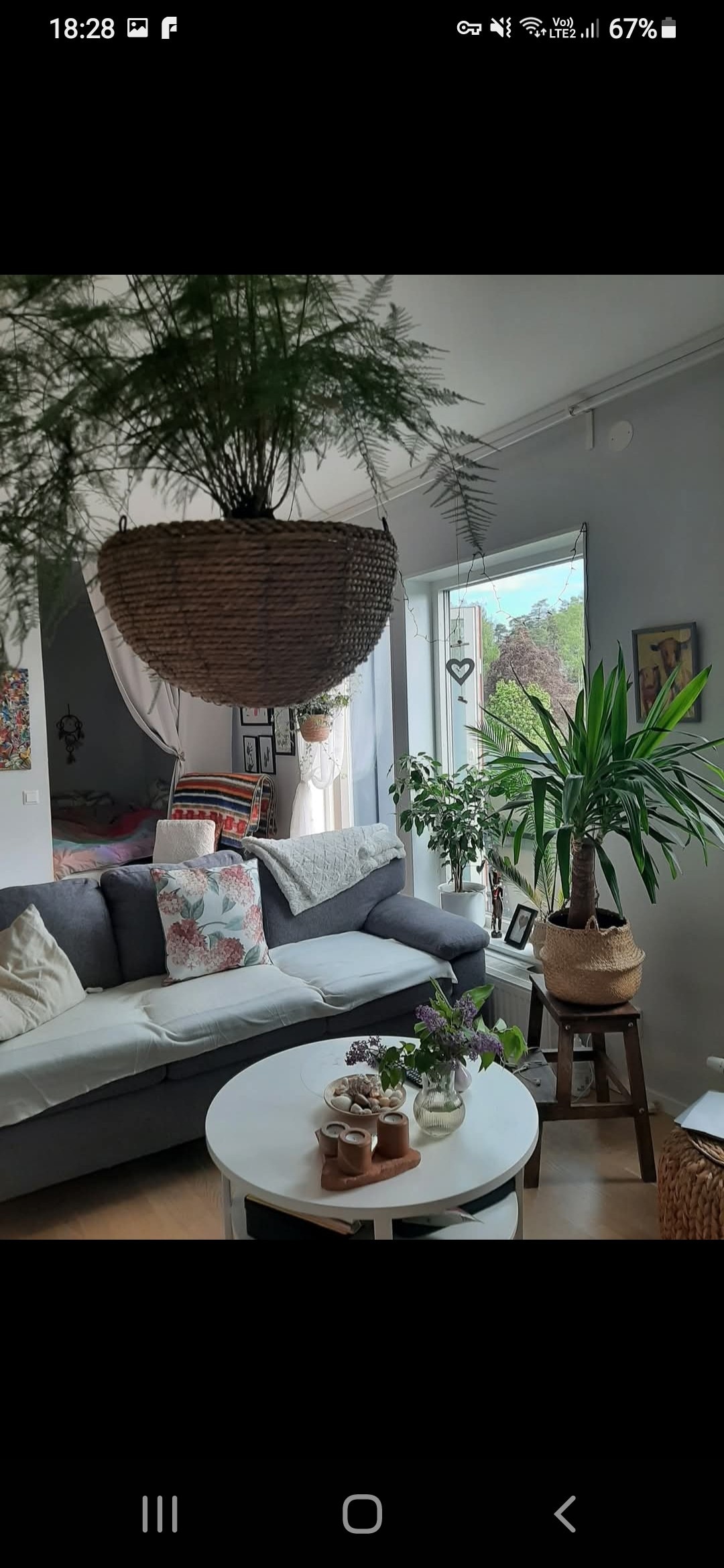 A contemporary living area features a spacious gray sofa adorned with colorful pillows. A round white table sits at the center, complemented by potted plants. A large hanging planter with greenery is positioned above, while natural light enters through an open window, providing a fresh and inviting ambiance.