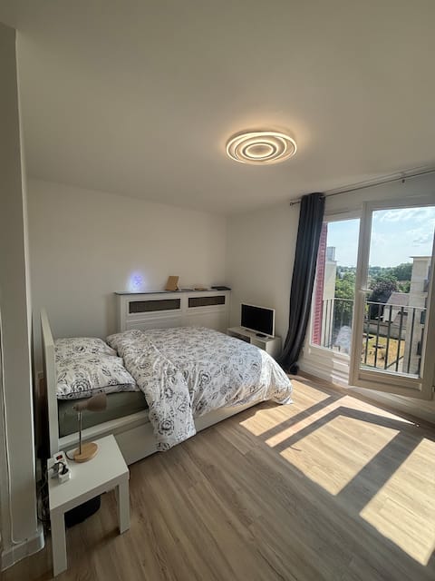 Propriété Airbnb réussie: Large studio near Paris à Saint Maur Des Fossés