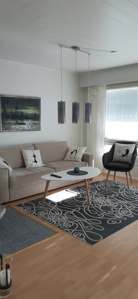 Top Airbnb: Detached house near the center in Satakunta