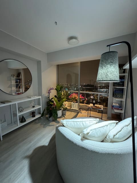 Beautiful apartment in La Victoria/San Isidro