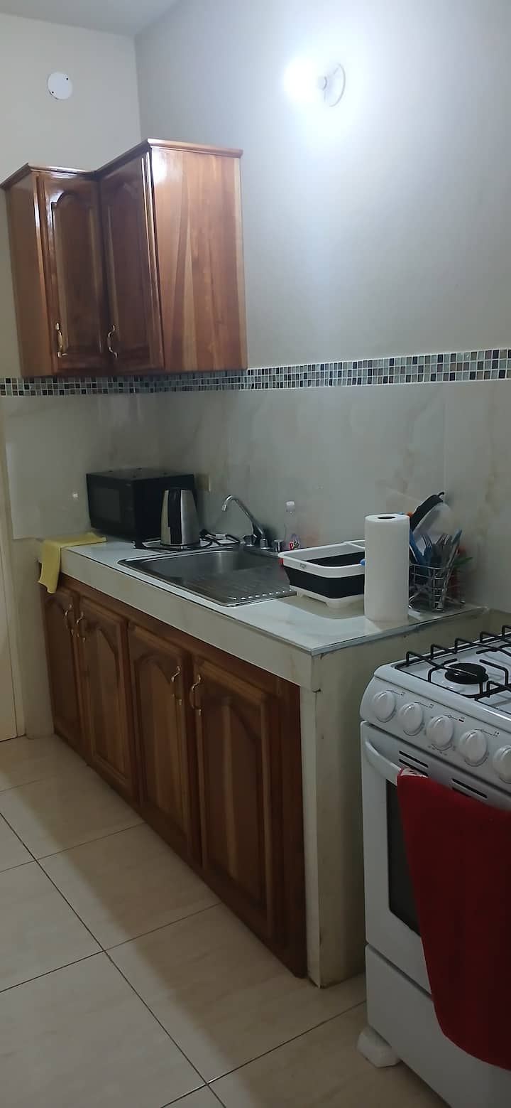 Negril Super Deal West End Apt1 2 Beds - Negril