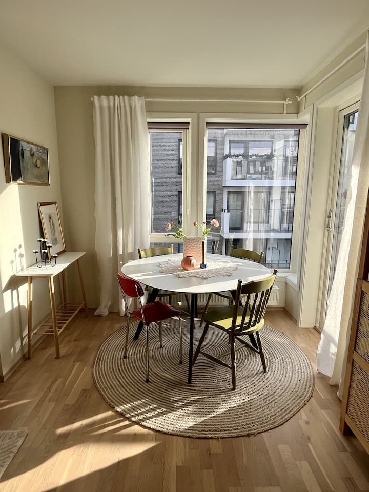 Koselig Og Sentral 2-roms Leilighet - Oslo