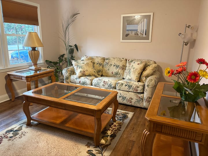 Comfy Home Near Everything With Handicap Ramp - Conway, SC
