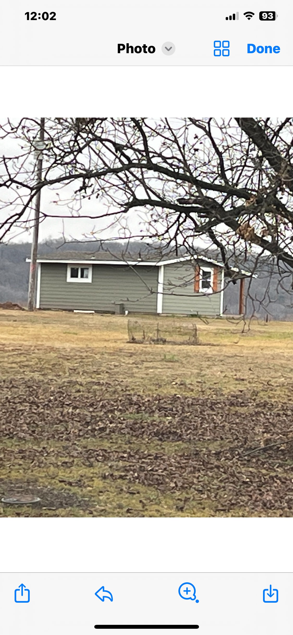 A gray cabin is visible from a distance, set against a backdrop of a grassy area covered with fallen leaves. The structure features a single window framed in white and a simple design, surrounded by sparse trees and open space.