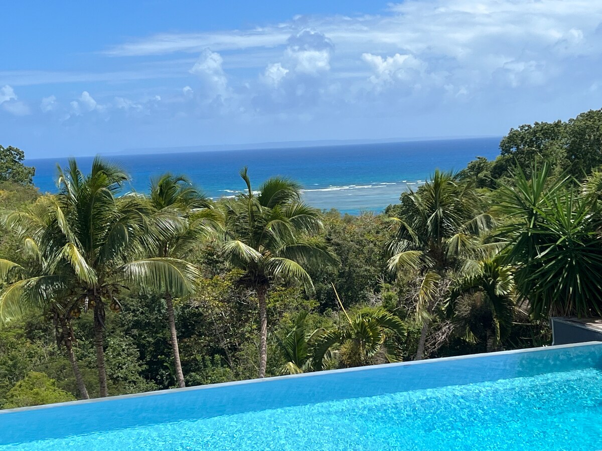 A panoramic view of the ocean stretches beyond the infinity pool, framed by lush palm trees. Gentle waves can be seen on the horizon, with a backdrop of clear blue skies and scattered clouds, providing a serene coastal atmosphere.