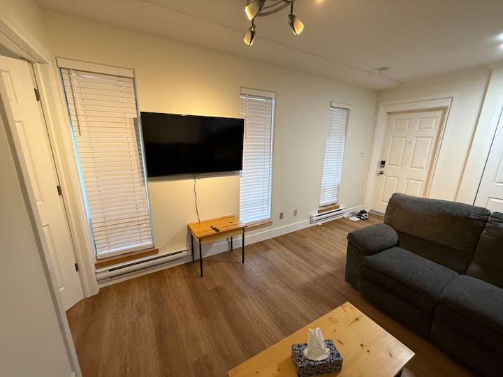 Luxury Two Bedroom Apartment - Thunder Bay