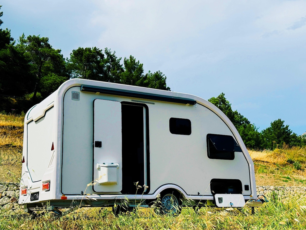 A modern caravan is situated in a grassy area surrounded by trees. Its exterior features a smooth, curved design with a single door and a small window. The tranquil setting highlights the natural surroundings, with a clear sky overhead.