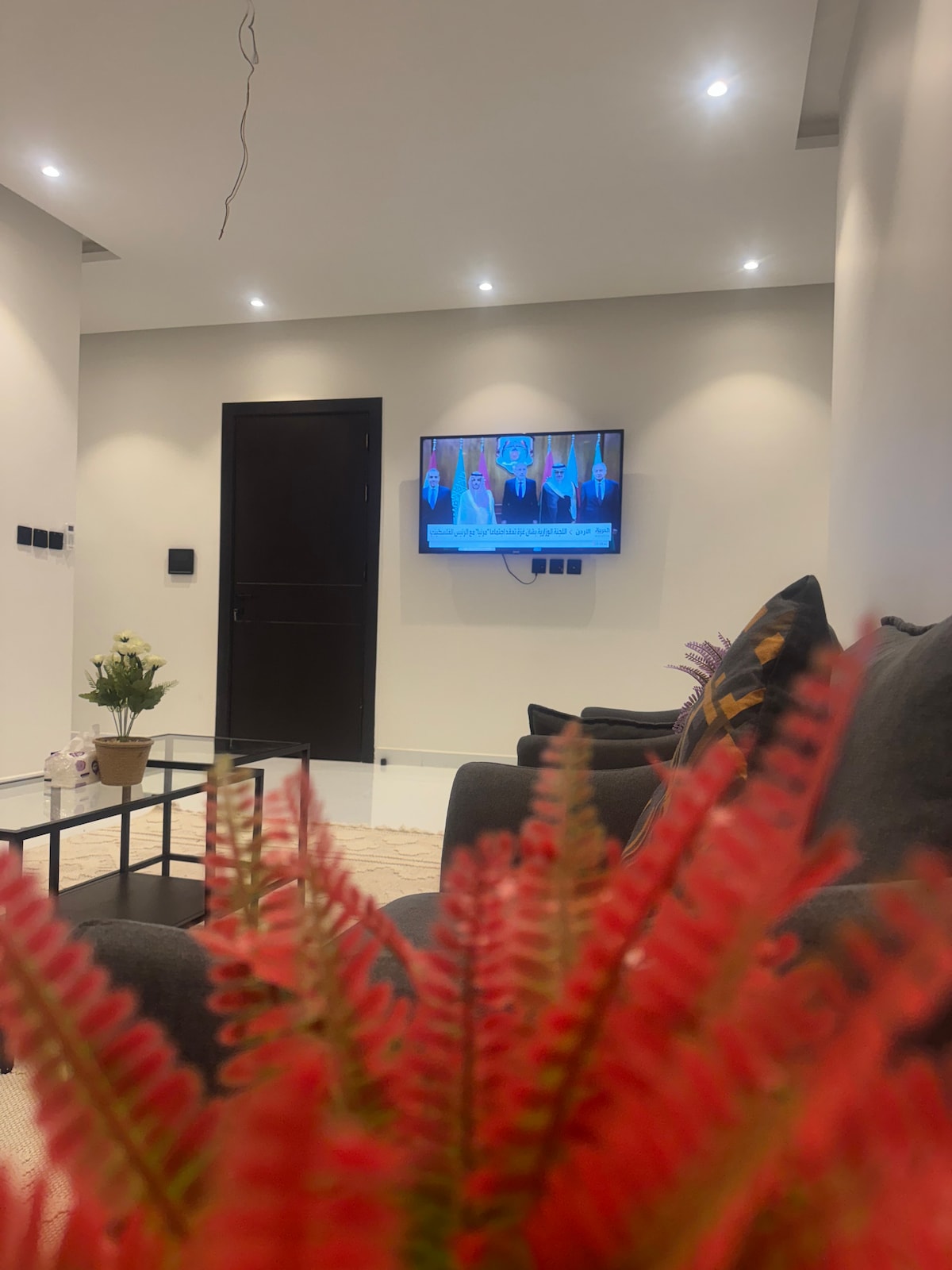 A modern living room is presented, featuring a comfortable seating area with dark sofas arranged around a low coffee table. A wall-mounted television is visible, displaying a program, while decorative plants add a touch of greenery to the space.