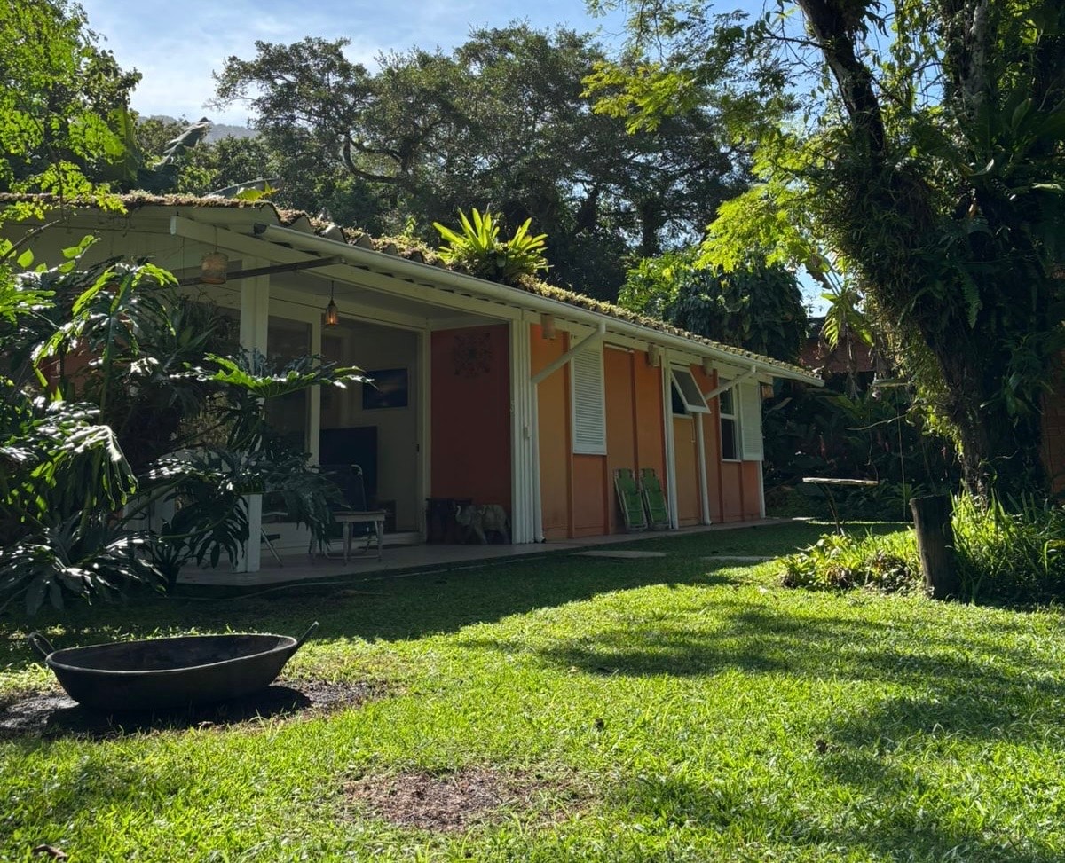 A single-story house with an orange exterior sits amidst a lush green lawn. Large windows invite natural light into the living space. Tropical plants and trees frame the area, creating a tranquil setting. A decorative bowl is positioned on the grass, adding to the garden's charm.