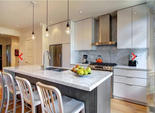 Bellwoods/Queen West Family Home gallery image 2