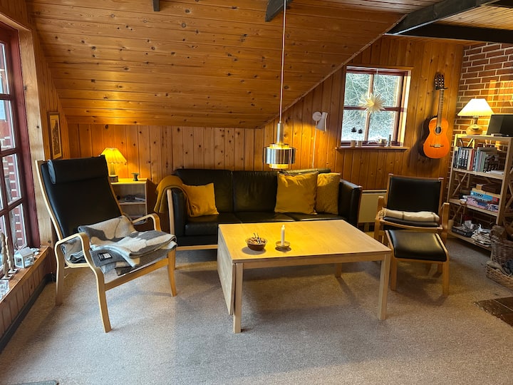 Sommerhus Ved Hav Og Skov - Dinamarca
