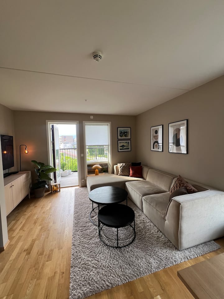 Leilighet Til Leie På Løren - Oslo
