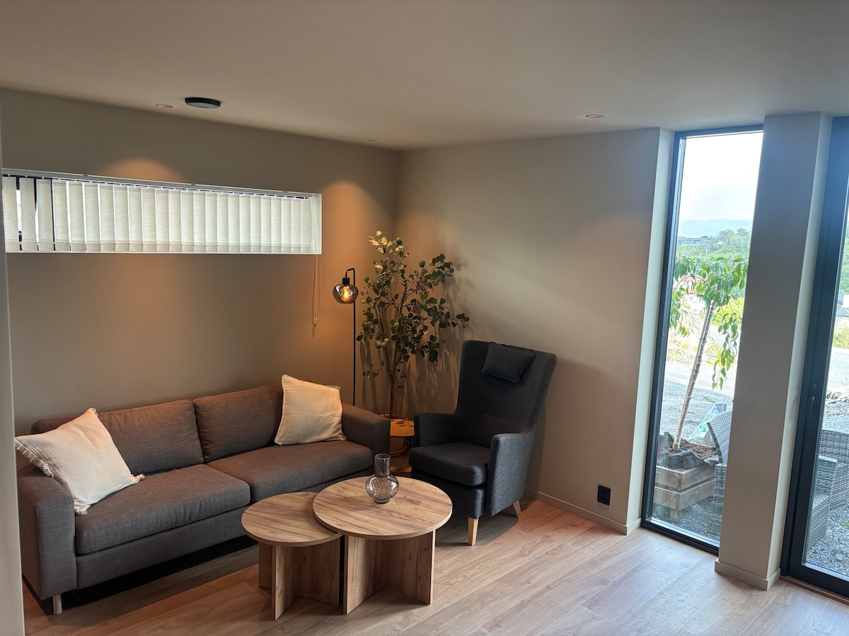 Sala con sofá cama y sillón