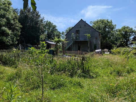 Green and quiet house