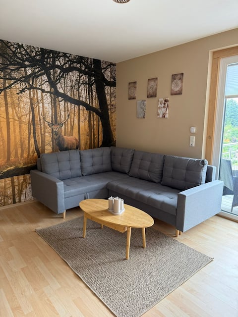 Popular Airbnb listing: Scandic time in Thüringen