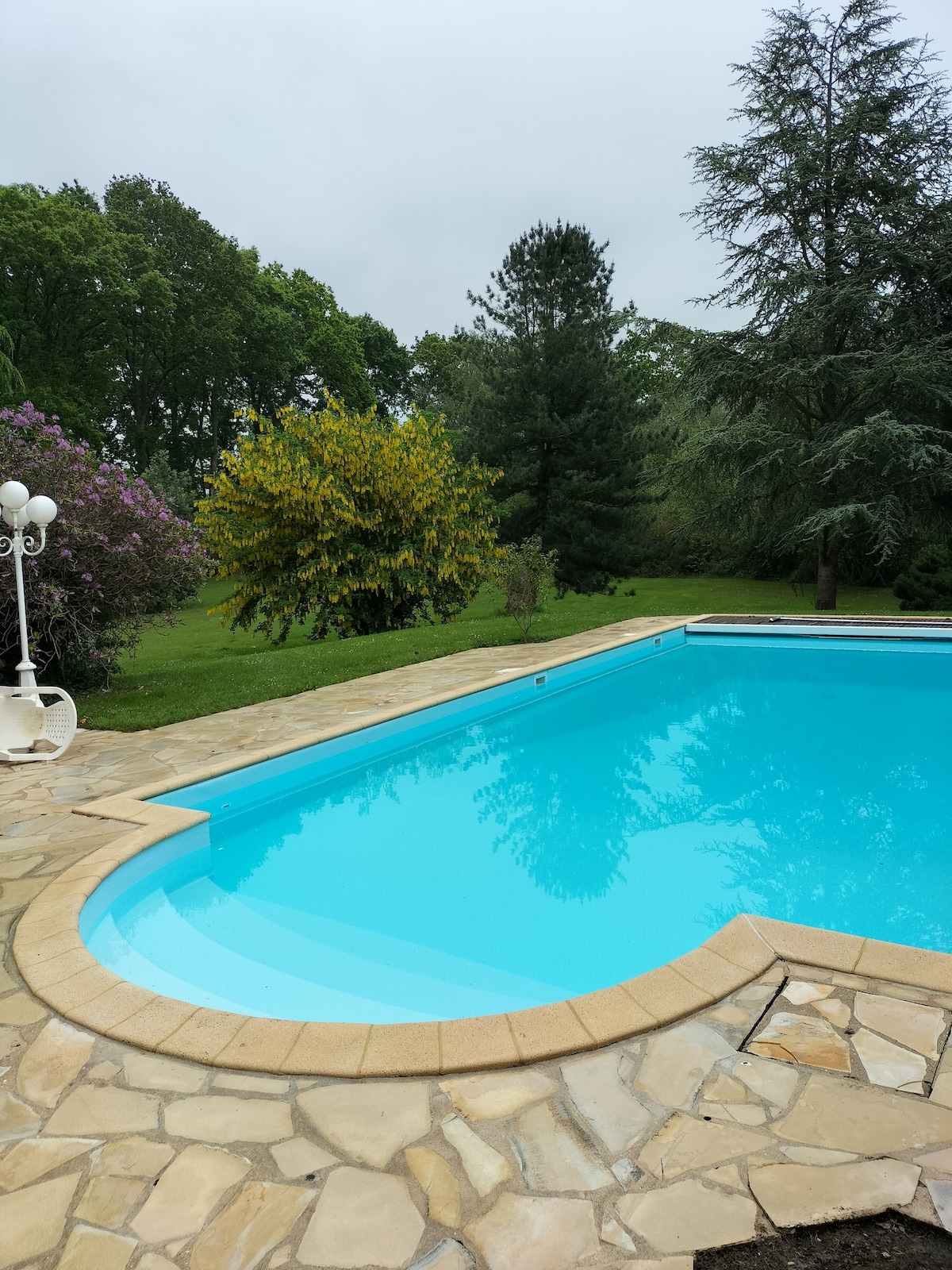 A clear blue swimming pool is framed by a textured stone patio. Lush greenery surrounds the area, featuring various trees and shrubs, enhancing the natural setting. Overhead, a cloudy sky provides a soft, diffused light.