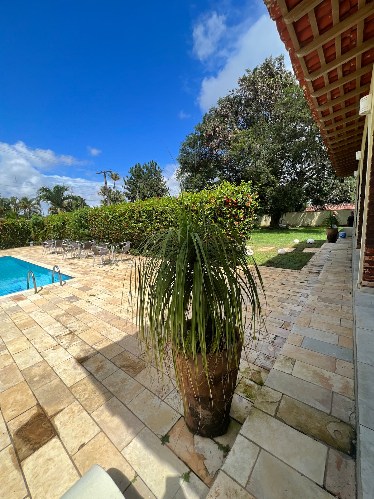 An outdoor area features a stone patio alongside a sparkling pool. Lush greenery surrounds the space, including a tall potted plant. Sunlight illuminates the scene, highlighting the relaxing environment created by the nearby shaded seating area and manicured lawns.