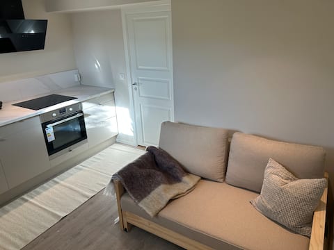 Top Airbnb: Very central apartment in a historic house in Ytrebygda