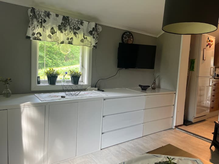 Телевизор. Ако искате да гледате телевизия, можете да влезете в различни приложения за стрийминг и да използвате собствените си данни за вход. 