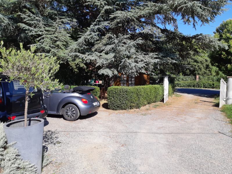 A gravel driveway is framed by well-maintained hedges, leading to a charming wooden structure visible in the background. A parked car is situated near a large potted plant, with tall trees providing shade along the entrance. A clear blue sky enhances the overall scene.