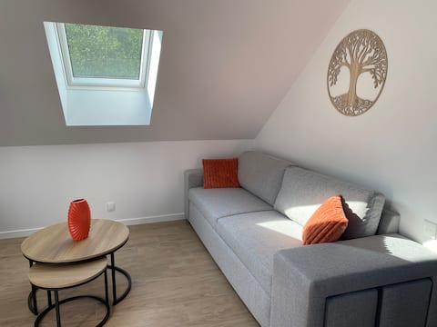 Top performing Airbnb: 1-bedroom apartment in Saint Lunaire
