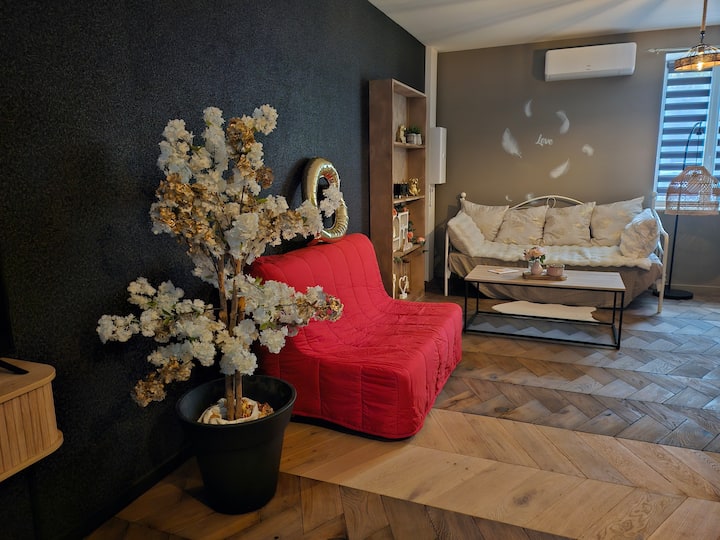 Espace Détente/jacuzzi Et Sauna/voiture éLectrique - Vierzon